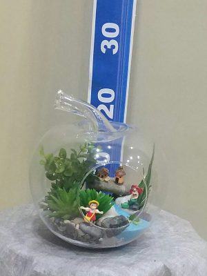 ısparta elma camda terraryum
