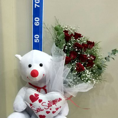 sevimli ayıcık ve 10 gülısparta