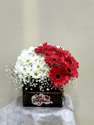 ısparta kutuda papatya ve 6 gerbera