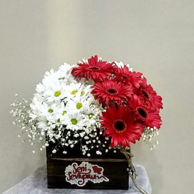 ısparta kutuda papatya ve 6 gerbera