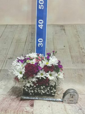 ısparta kütükde papatya ve renkli mevsim çiçekleri