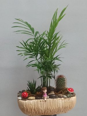 Terraryum Aşkı