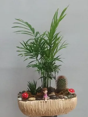 Terraryum Aşkı