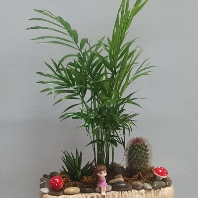Terraryum Aşkı