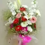 Gerbera