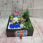 Terraryum